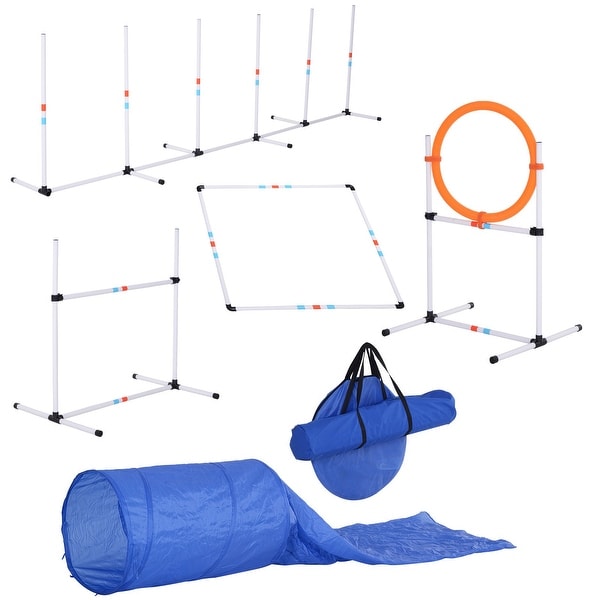 dog agility training supplies