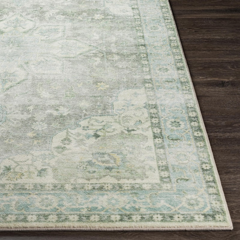 Livabliss Erin Updated Traditional Medallion Area Rug