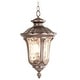 preview thumbnail 3 of 1, Livex Lighting Oxford 3 Light Outdoor Pendant