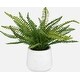 preview thumbnail 4 of 2, Uttermost 60238 Boston Fern 14" Tall Ceramic Faux Flora Planter