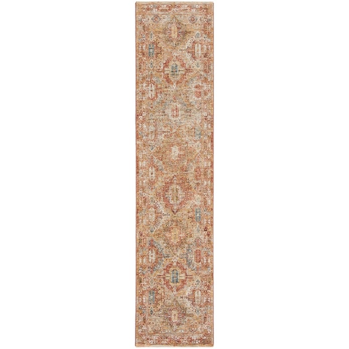 Nourison Petra Traditional Vintage Persian Area Rug