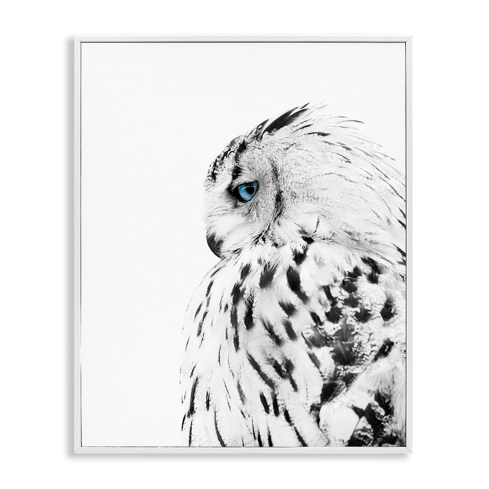 Stupell Snow Owl White Feathers Peering Blue Eyes Framed Giclee Texturized Art by Design Fabrikken