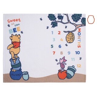Disney Winnie the Pooh Milestone Baby Blanket