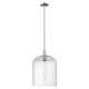Option Clear Shade / Polished Nickel
