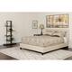 Option Beige
