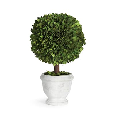Boxwood Single 9" Ball Topiary In Pot - Green