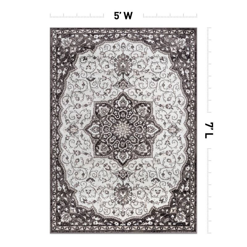 Traditional Medallion Area Rug