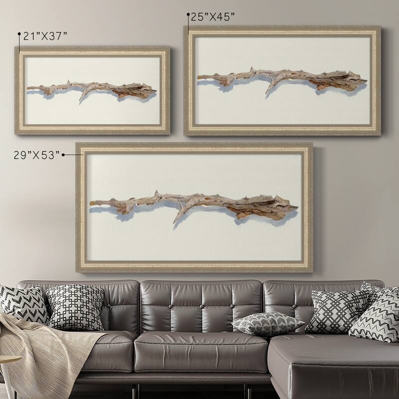 Driftwood Study I Premium Framed Canvas- Ready to Hang