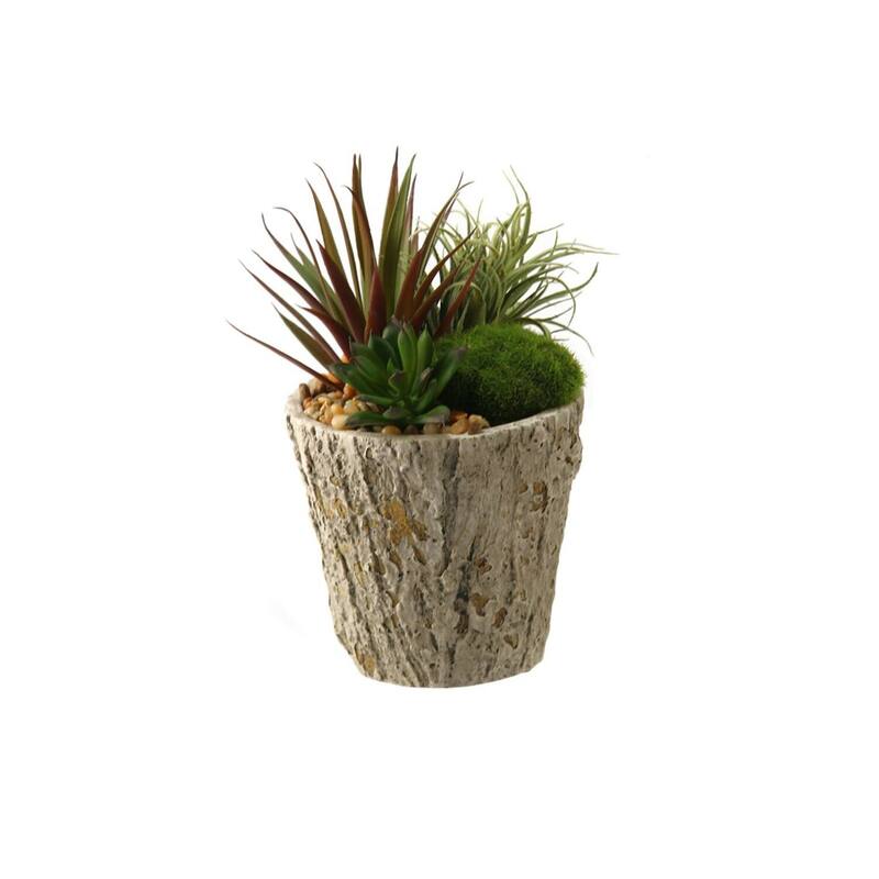 HomeStock Easter Grass and Succulents in Weathered Oak Look Cement Planter - Spring-Inspired Faux Arrangement - 9