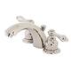 Option Polished Nickel