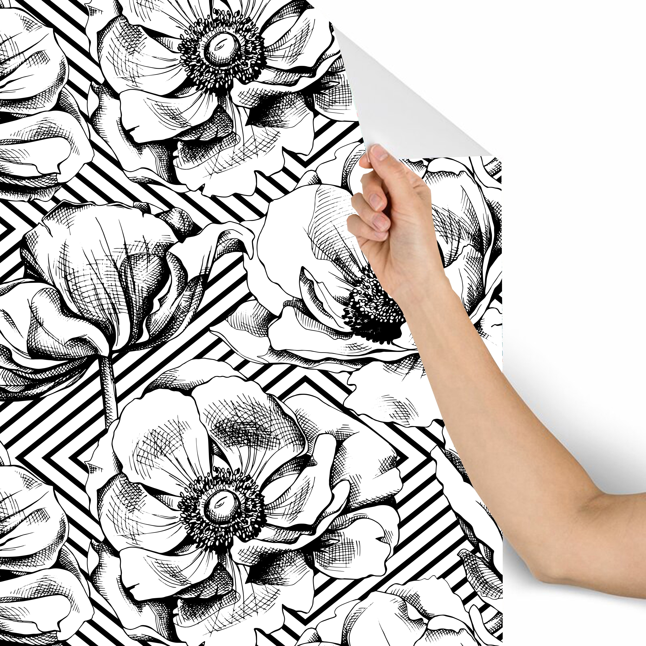 Shop Black And White Poppies Removable Wallpaper 10 Ft H X 24