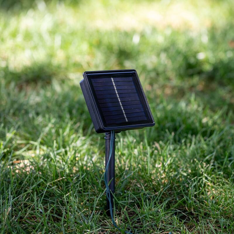 Novelty Lights 50 Light Solar LED Outdoor Christmas Mini Light Set, 12 Feet