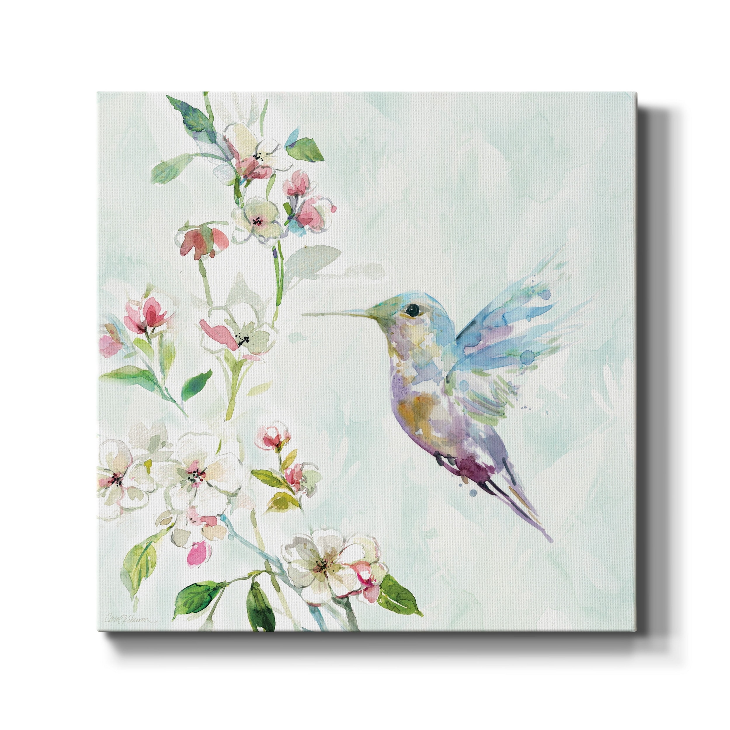 Hummingbird II-Premium Gallery Wrapped Canvas - Ready to Hang