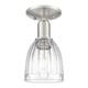 Option Brushed Satin Nickel / Clear
