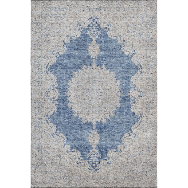 Premium Washable Super Soft Vintage Traditional Mayfield Rug