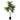 4ft Artificial Real Touch Rubber Plant Fig Leaf Tree in Black Pot - 48" H x 30" W x 18" DP