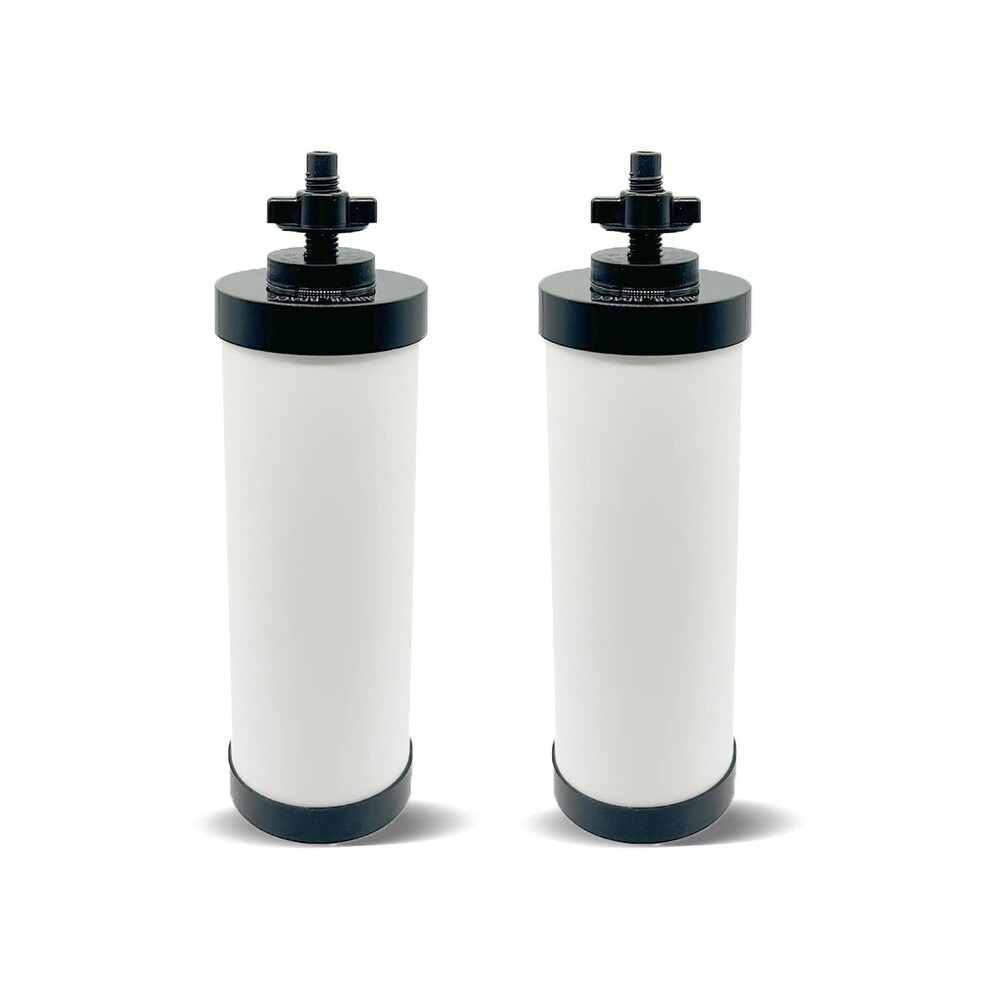 Avalon replacements 2-Pack Ultra Filtration/Carbon Block Water Dispenser  Replacement Filter in the Replacement Water Filters & Cartridges department  at