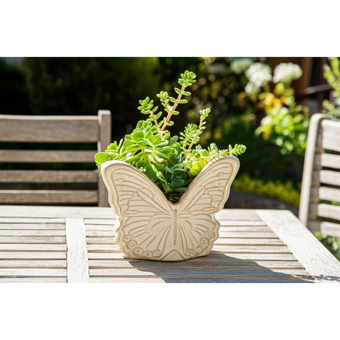 Butterfly Ceramic Planter for Indoor or Outdoor Decor