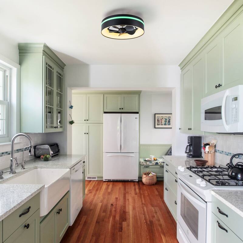 17.7" Modern Black LED Ceiling Fan with Light and Remote, Dimmable & Color Changing, 6 Speeds, Timer, Reversible Motor