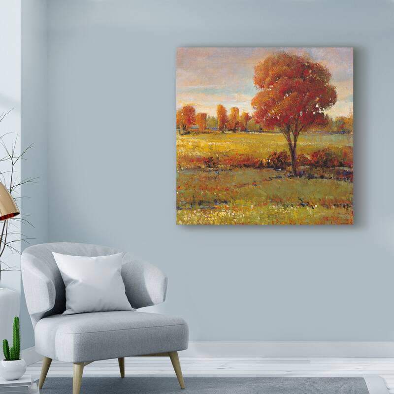 Tim Otoole 'Field In Fall' Canvas Art