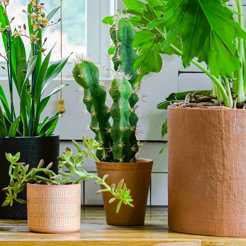 Faux Cactus in Terracotta Colored Pot