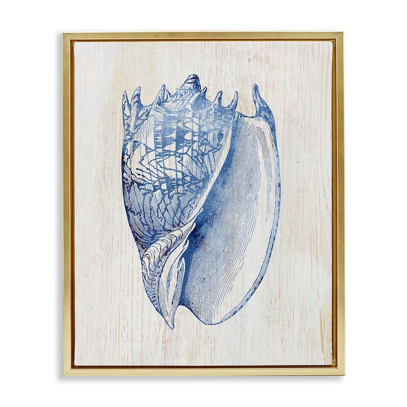 Stupell Nautical Soft Blue Conch Framed Floater Canvas Wall Art Design By Susan Arnot - 17 x 21 - Gold