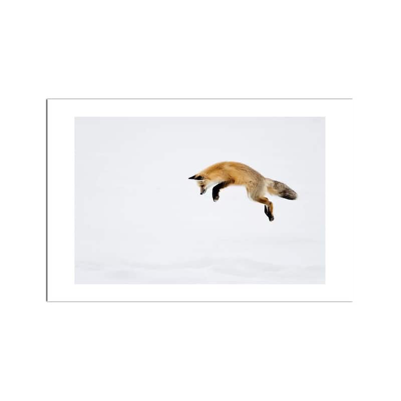Red Fox Leaping Fine Art by Deborah Winchester - Multi
