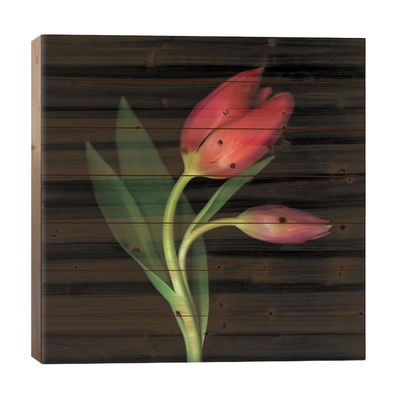 Aaahhh, That First Caress Print On Wood by Magda Indigo - Multi-Color - 26x26x1.5