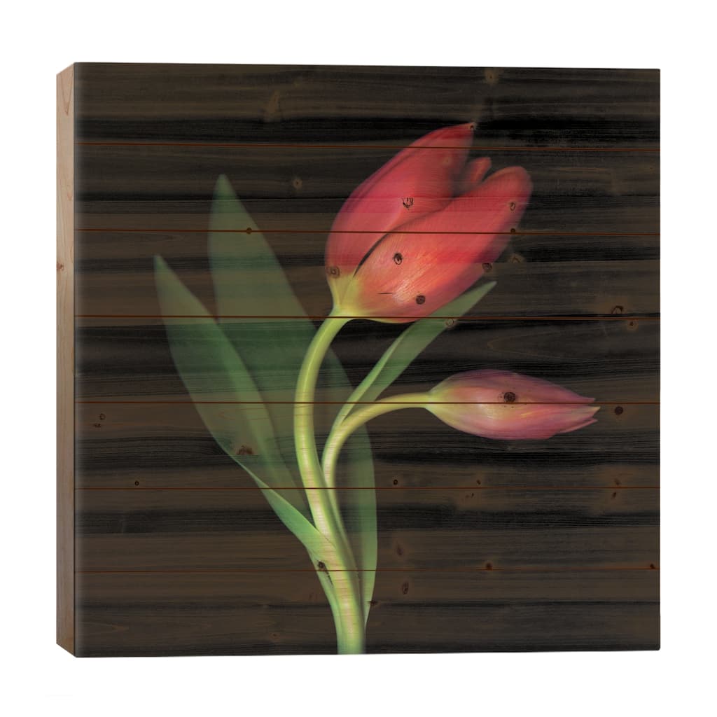 Aaahhh, That First Caress Print On Wood by Magda Indigo - Multi-Color