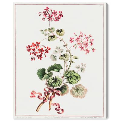 Carlet Variegated Geranium 1801 Canvas by Art Remedy, Gallery Wrapped