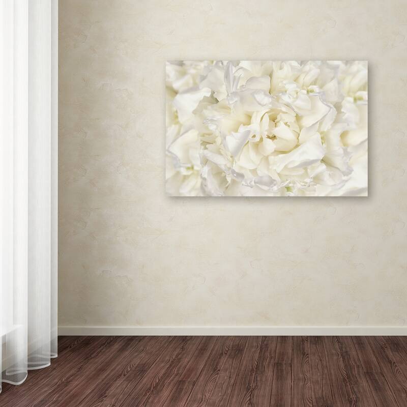 Cora Niele 'White Peony Flower' Canvas Art