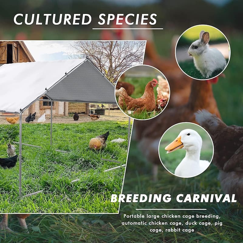 BOSSIN Bold Chicken Coop Run Large Metal Chicken Pen OutdoorPoultry Cage Spire Shape Heavy Duty Walkin for Yard with Waterproof