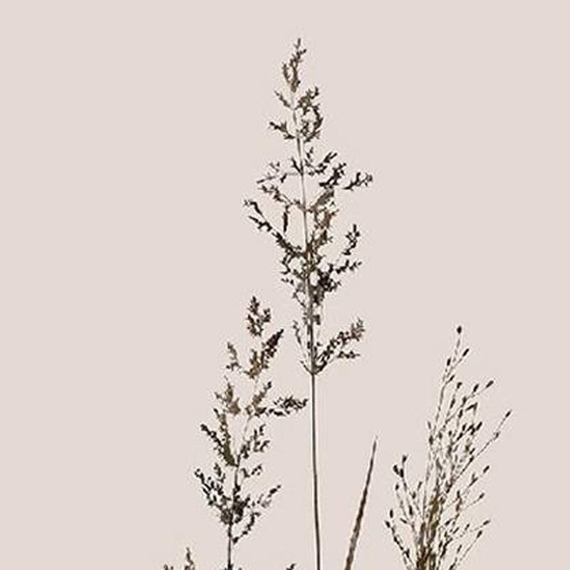 HomeRoots Set Of Two Delicate Stems Brown Framed Wall Art