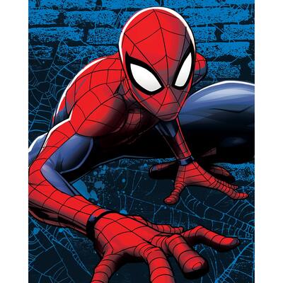 Spiderman-Web Lines