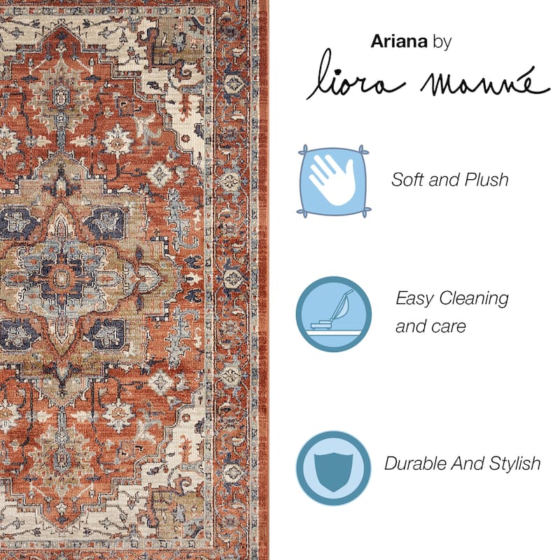 Liora Manne Ariana Heriz Indoor Rug