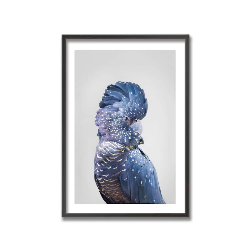 "Black Cockatoo" Framed Print Wall Art by Kathrin Pienaar