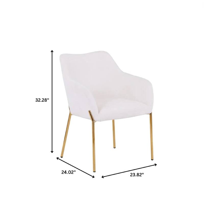 Zaire Upholstered Dining Chair in Velvet/Leather/Boucle with Gold Chrome Iron Set of 2