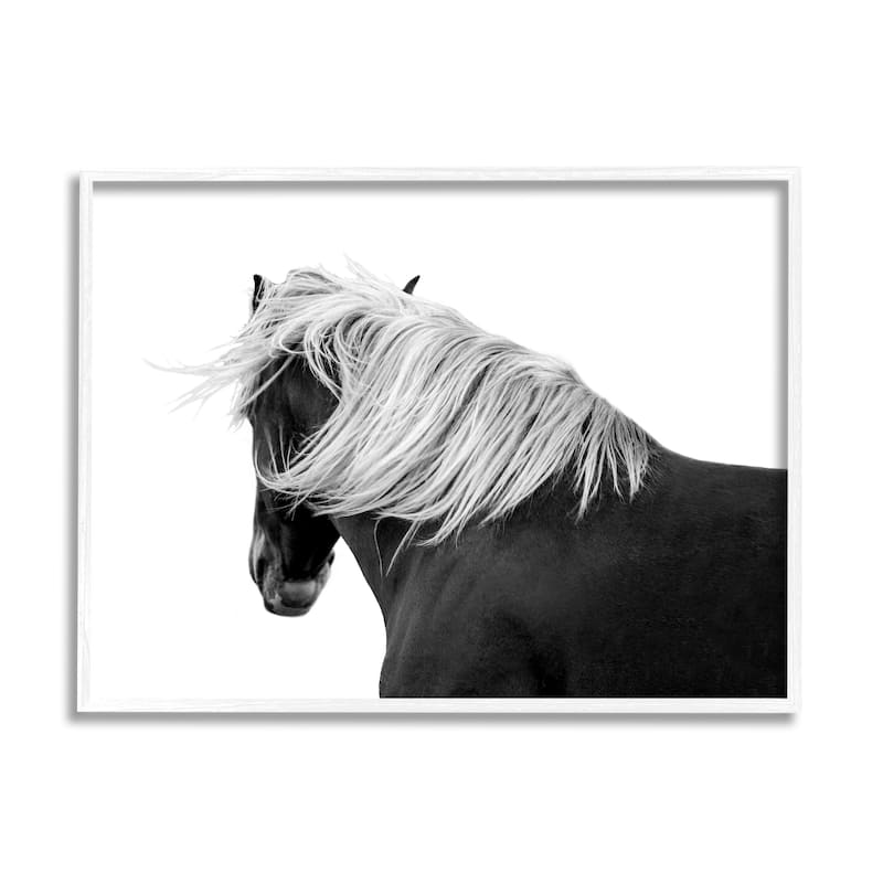 Stupell Equestrian Photography Modern Horse Contrast Black White Framed Wall Art - 20 x 16 - White