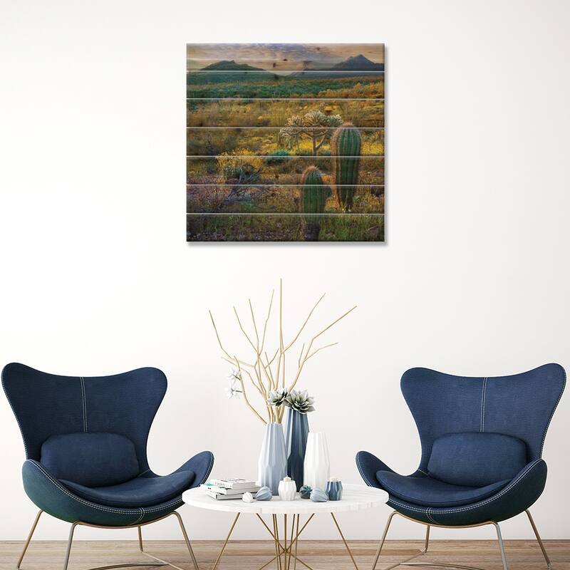 Ajo Mountains, Organ Pipe Cactus National Monument, Sonoran Desert, Arizona Print On Wood by Tim Fitzharris - Multi-Color