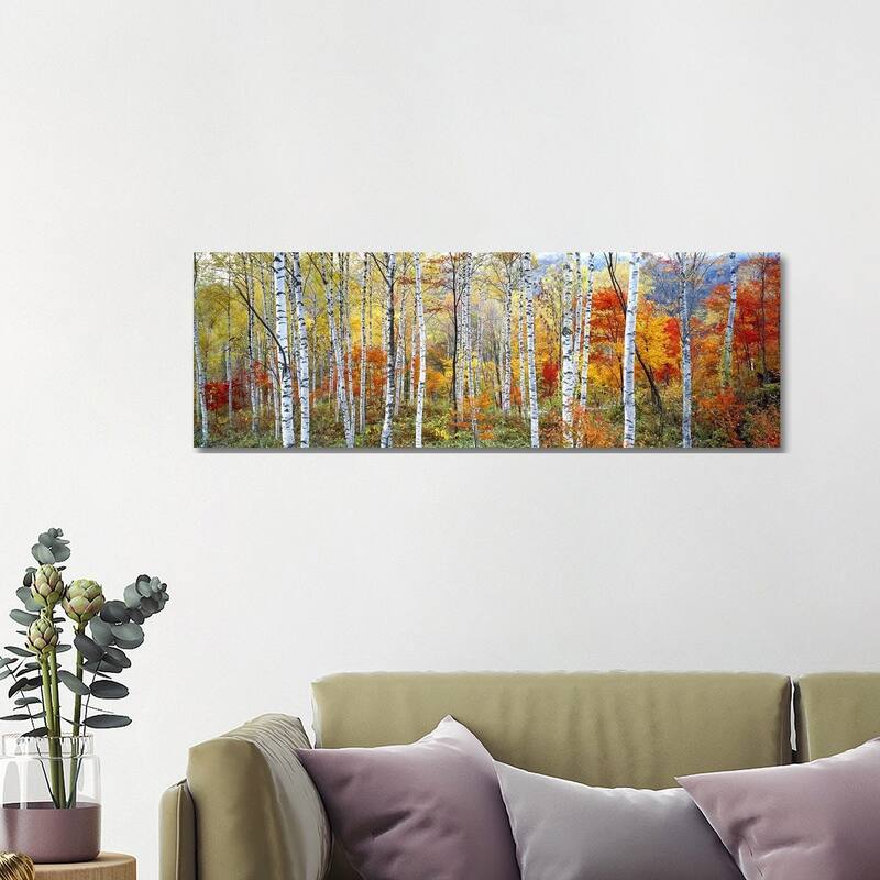 "Fall Trees, Shinhodaka, Gifu, Japan" Panoramic Images Canvas Print - 16x48x1.5
