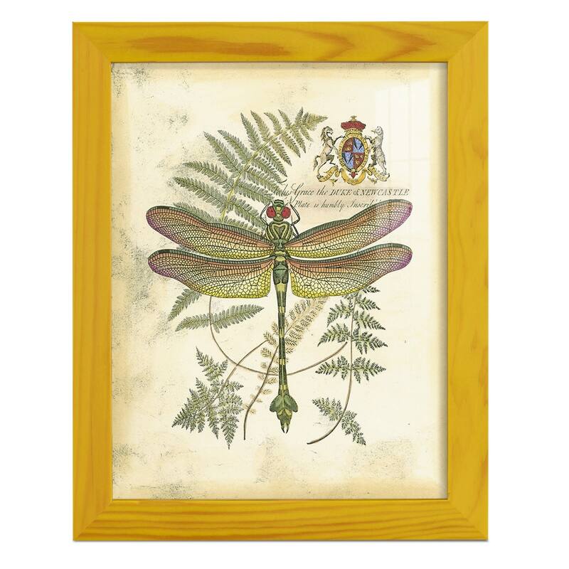 Regal Dragonfly III (PP) -Framed Print w/glass-Cherry Red