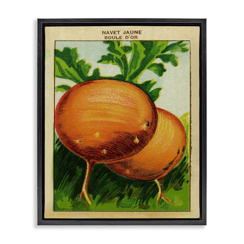 Stupell Country Vintage Onions Framed Floater Canvas Wall Art Design By Lil' Rue - 17 x 21 - Black