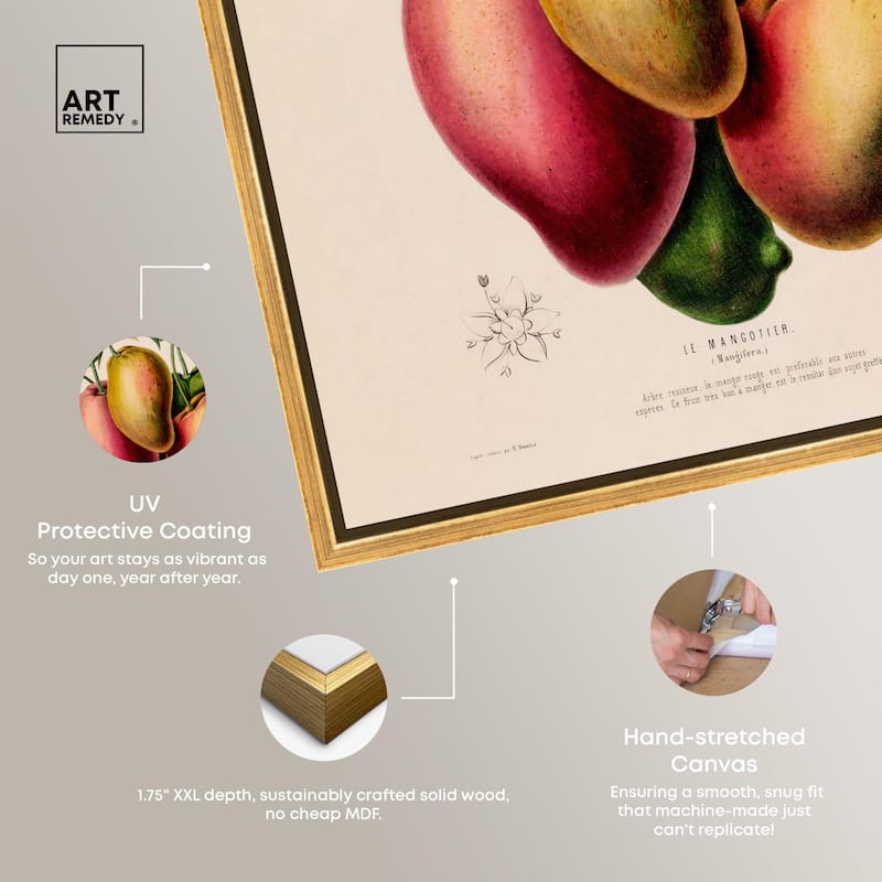Mangoes by Etienne Denisse Canvas by Art Remedy