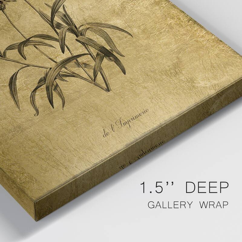 Gold Sketch Botanical I Premium Gallery Wrapped Canvas - Ready to Hang