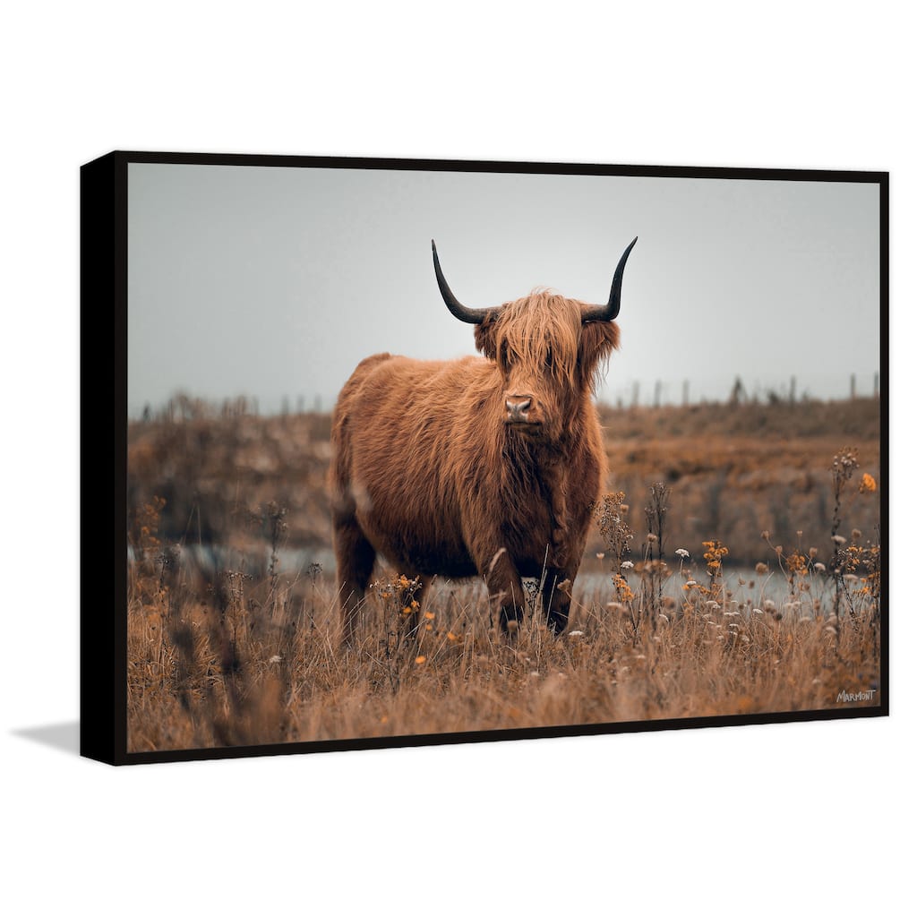 Just Stay Calm Floater Framed Print on Canvas