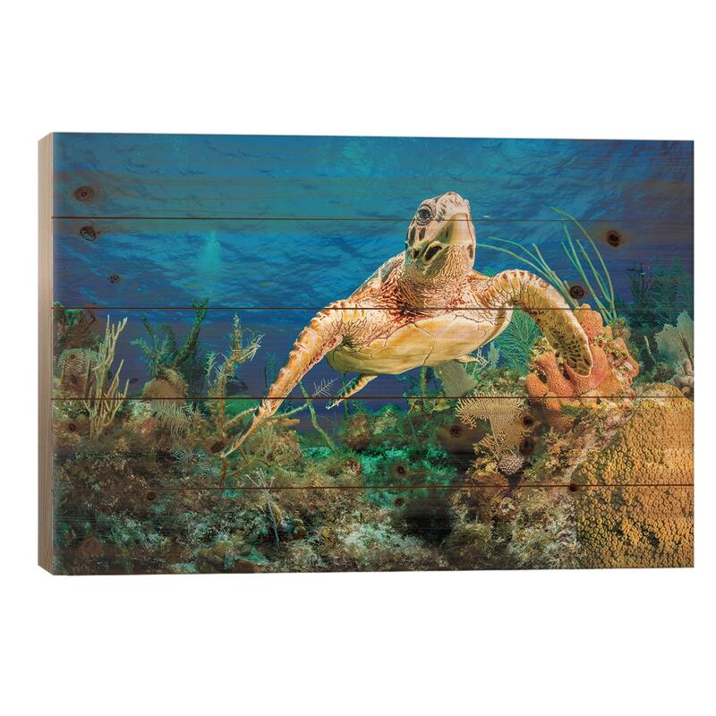 Hawksbill Turtle Swimming Through Caribbean Reef Print On Wood by Jan Abadschieff - Multi-Color - 18x26x1.5