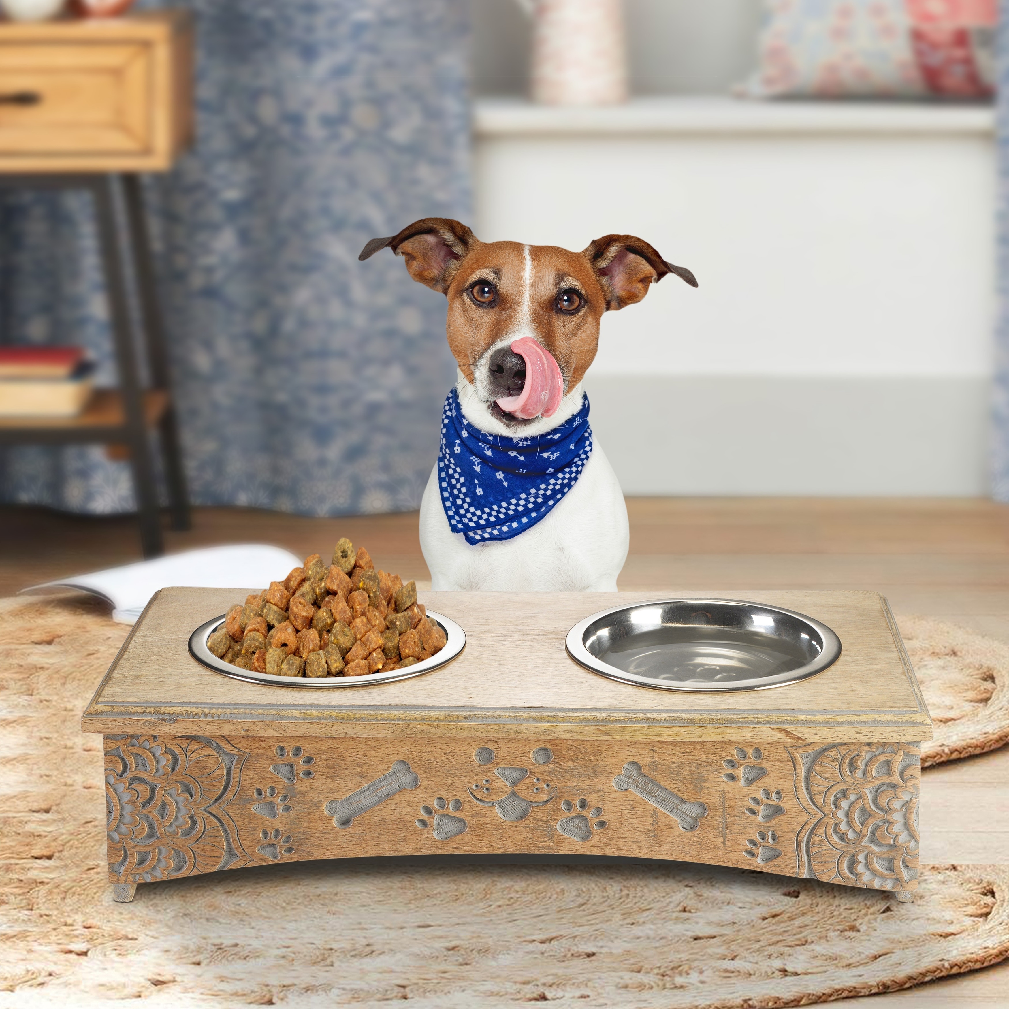 Bed bath and beyond dog bowls top