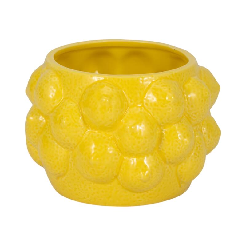 Textured Stoneware Ceramic Planter with Sculpted Bulbous Design
