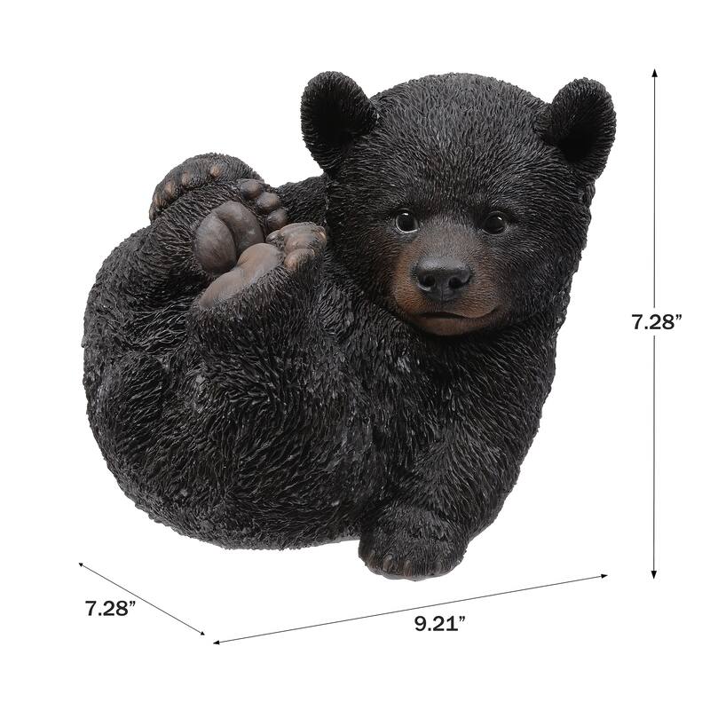 Baby Black Bear Lying