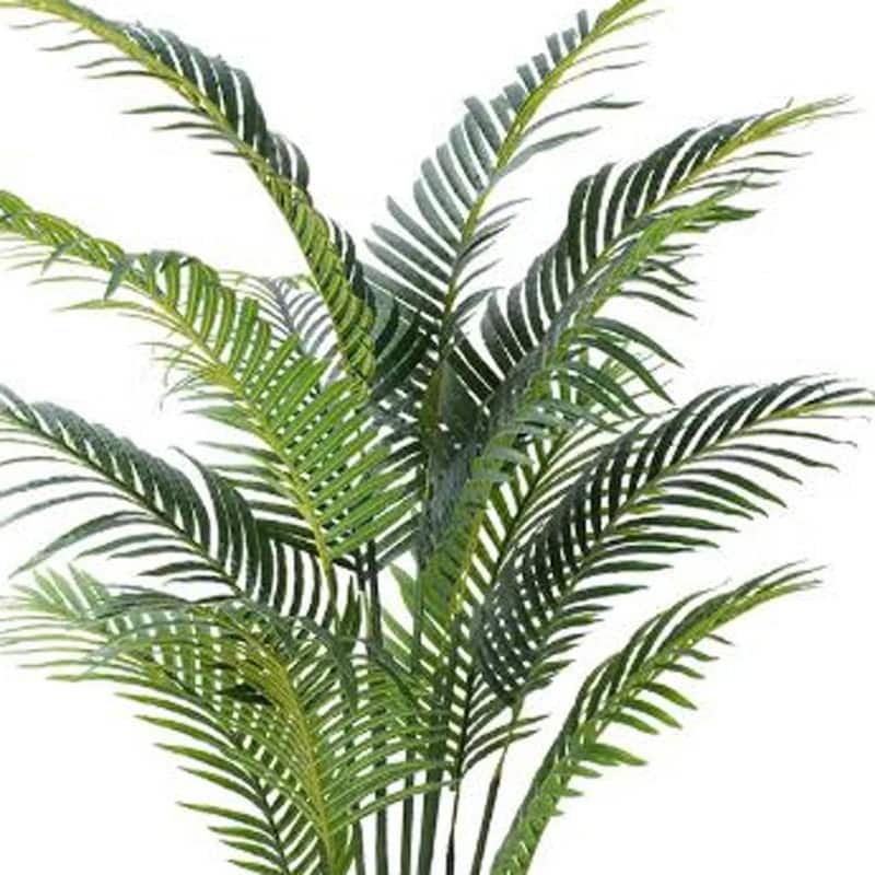 HomeRoots 59" Green Artificial Palm Tree in a Black Pot - 6.69 in. x 59.06 in. x 6.69 in.